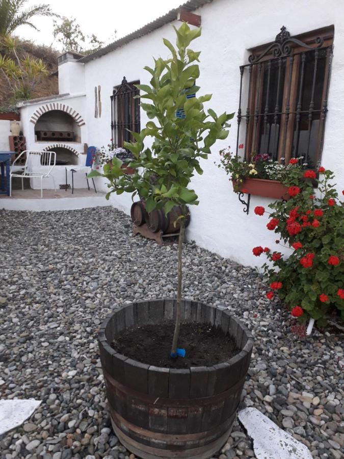 Apartament Peace And Tranquility At Montana Retreat Álora Zewnętrze zdjęcie