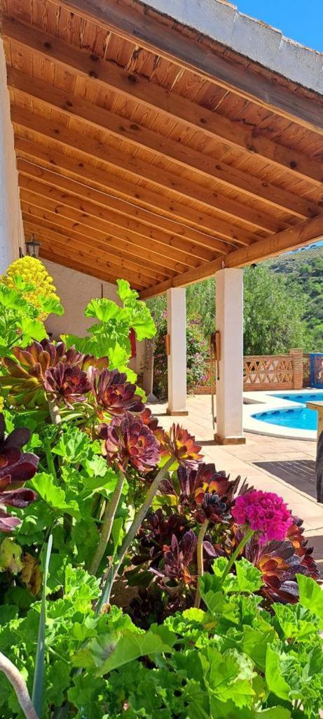 Apartament Peace And Tranquility At Montana Retreat Álora Pokój zdjęcie